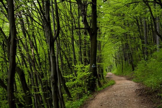 Perfect bike tour around Brasov