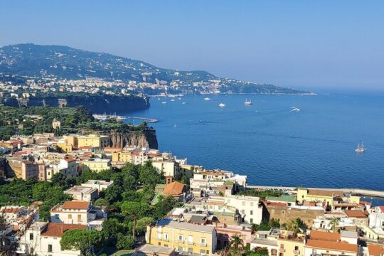 Sorrento: Private Transfer from Naples one way