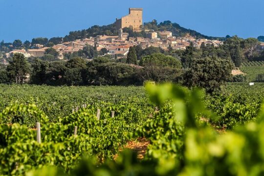 Wine Tasting Tour