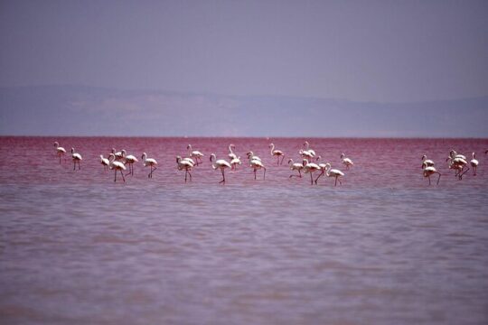 Private Tour From Cappadocia to Salt Lake
