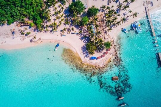 Experience Full Day Tour of Tropical Bliss at Isla Saona