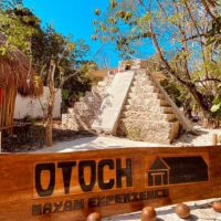 Chocolate Tours