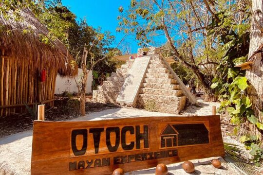 Private Jeep or Buggy Tour Snorkeling Maya Park and Tacos