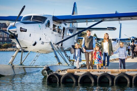 Victoria Whale Watching Adventure by a Seaplane