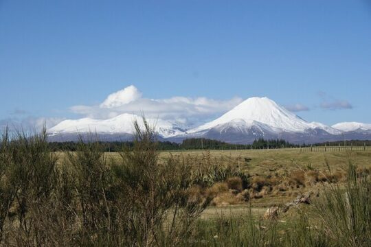 Tongariro National Park Northern Explorer Train and Snowshoeing
