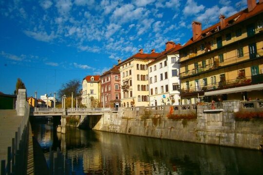 Private Direct Transfer from Vienna To Ljubljana, Local Driver