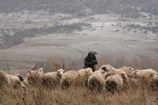 Private Tour to Kazbegi from Tbilisi