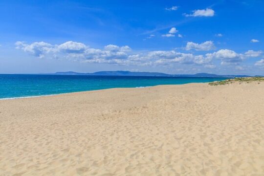 Private transfer: Comporta and Troia
