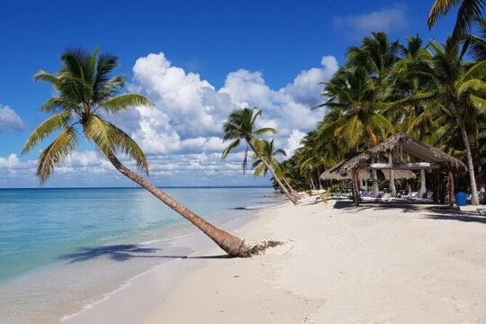 6 + 1 Full Day Isla Saona Tour and Snorkel in Natural Pool Mangroves Uvero Alto
