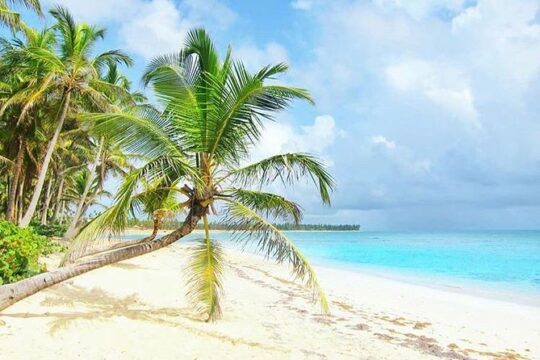 Round Trip Shuttle - Punta Cana Airport Shuttle 7-10 Passengers