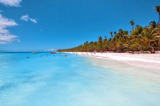Saona Island Day Trip + Lobsters Included in Uvero Alto