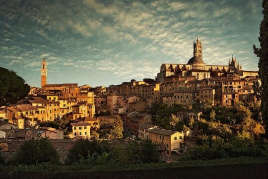 Wine and Cooking Under the Tuscany Sun