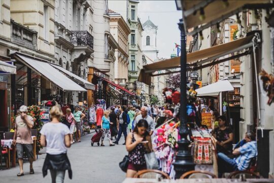 Full-Day Trip from Budapest to Vienna with Private Expert Guide - Includes Lunch