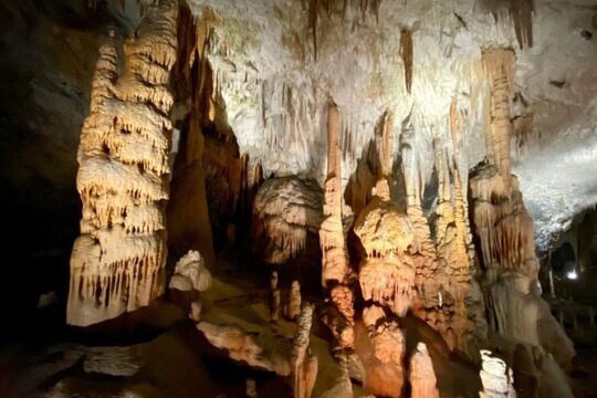 Postojna Cave Day Trip From Ljubljana