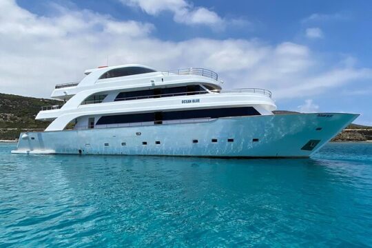 Ocean Blue Celebrity Blue Lagoon Cruise (Morning and Afternoon)