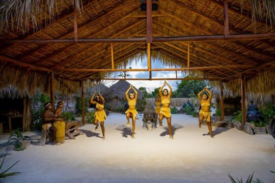 Half Day Nightfall Buggies Tour in Punta Cana with Pick up