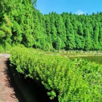 Bike & Mountain Bike Tours