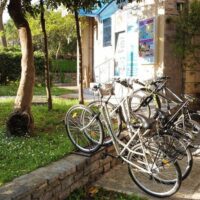 Bike Rentals