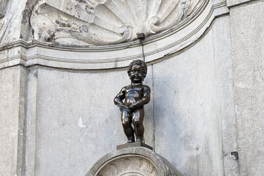 Brussels Highlight tour with a real Belgian guide