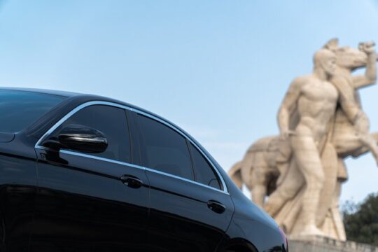 Pre or Post cruise in Civitavecchia, Rome private tour