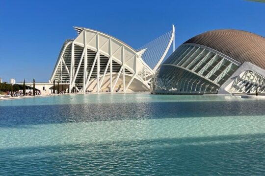 Private Tour in City of Arts and Sciences
