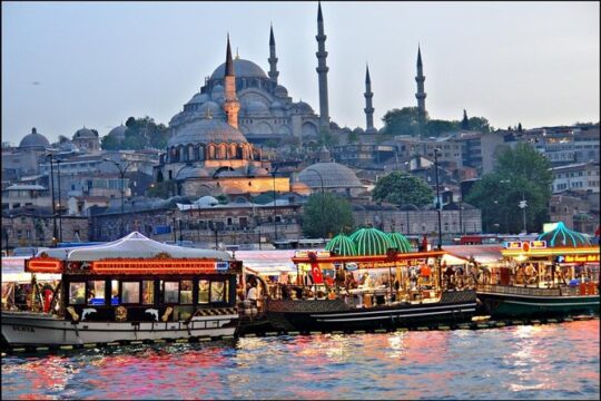 Istanbul Bosphorus & Golden horn Cruise (90 Min)