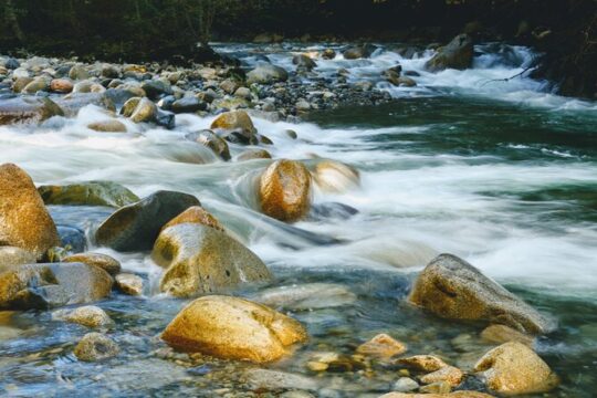 Lynn Canyon Suspension Bridge & Park Photography