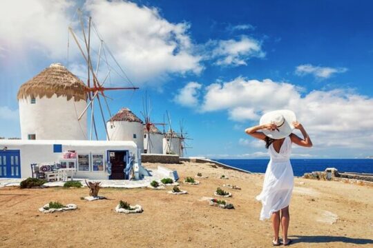 Mykonos Delights Tour from Cruise Port