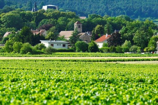 Burgundy 2 Day Private Tour from Paris