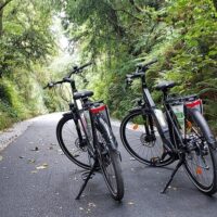 Tours & Sightseeing