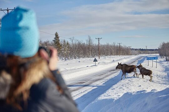Shared Guided Wildlife and Nature Photography Activity