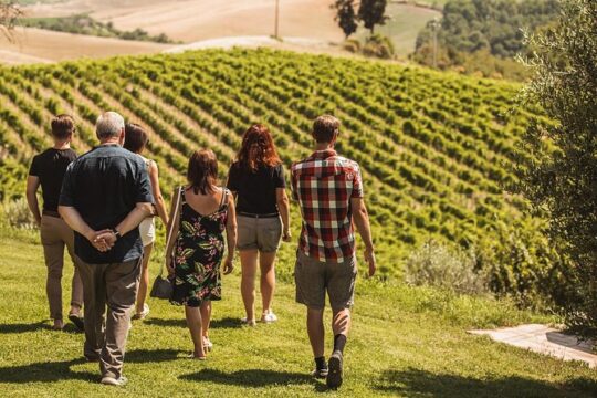 Montalcino Castle and Vineyards tour with tasting