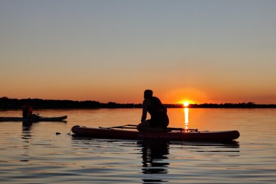 Paddleboarding in Dublin