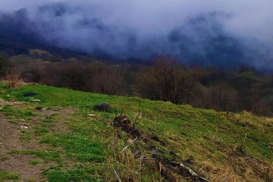 Telavi Tour from Tbilisi with Gombori Pass, Tsinandali Estate and Old Churches