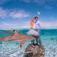 Weddings & Honeymoons