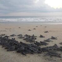 Sustainable Tours