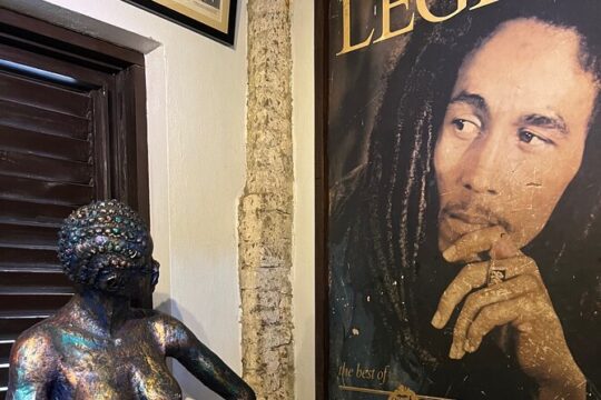 Exotic Full-Day Total Bob Marley Experience