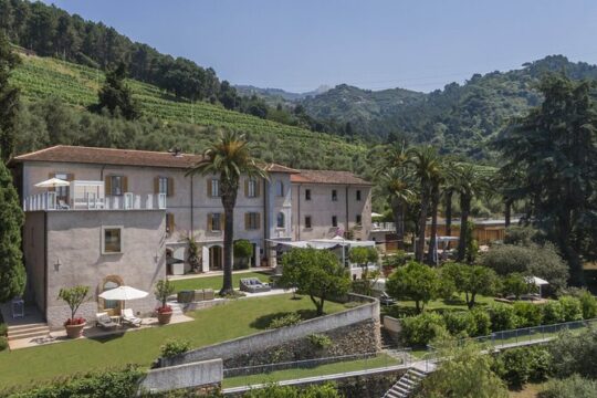 Versilia winery tour and tasting experience