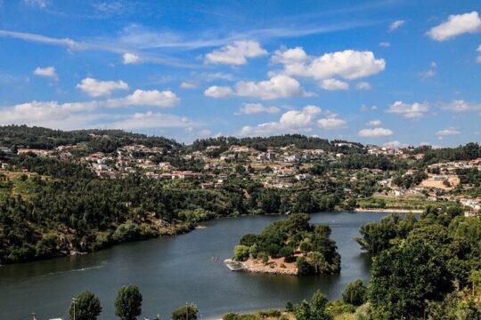 Explore Douro River Boat Tour