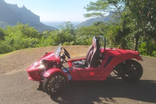 Guided Tour around the Moorea Island
