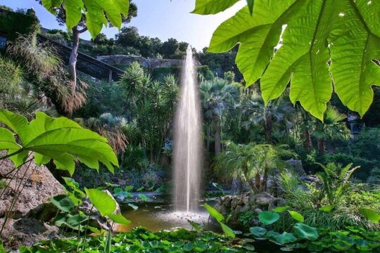 Private Tour to Mortella Gardens Fonte Nitrodi Aragonese Castle