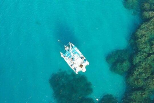 Catamaran/Dunn's River Falls Private transfer - Royalton Blue W/H