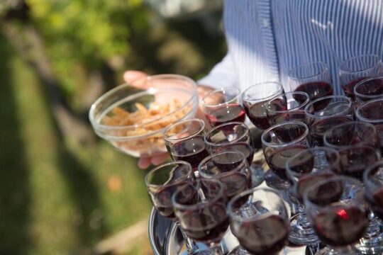 Konavle Tradition & Vines: Brajković Winery Journey