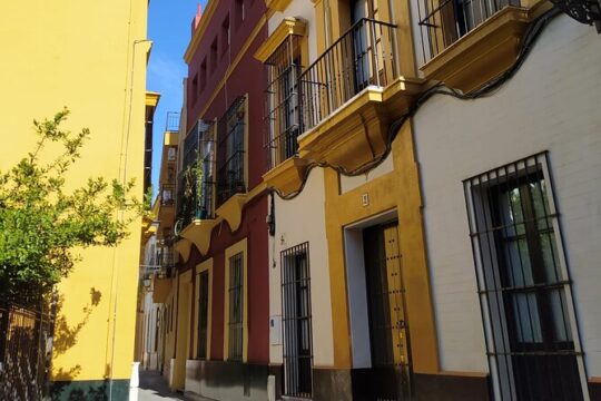 Private visit to Seville not to be missed