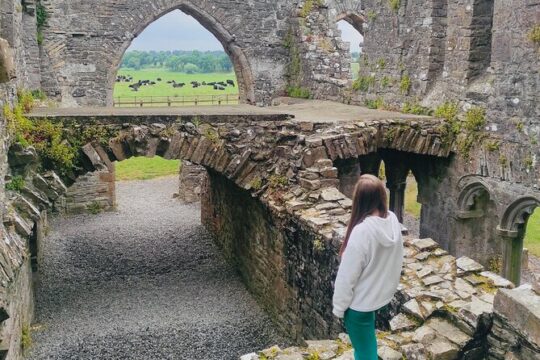 Personal Tour: Hill of Tara Trim Castle Boyne Valley Celtic sites