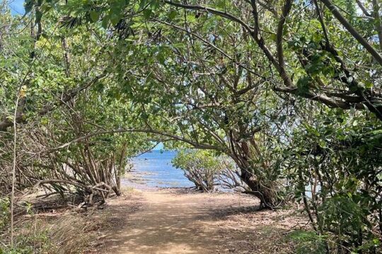 Full-Day Private Beach and River Tour with Pick Up