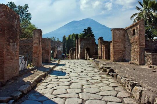 Tour Herculaneum Archaeological Park and Mount Vesuvius