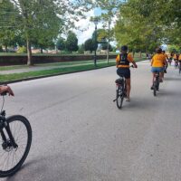 Bike Rentals