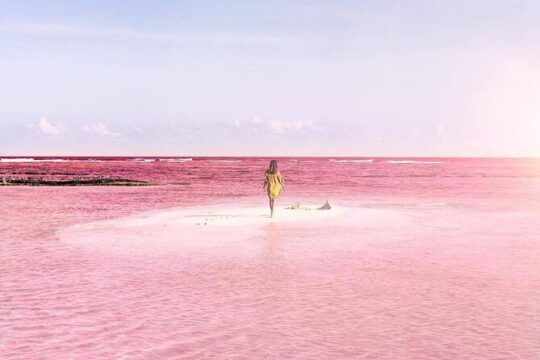 Private tour at Rio Lagartos & Las Coloradas