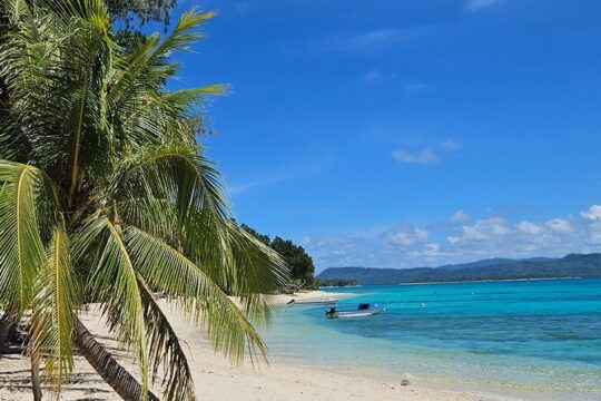 Full Day Pele Island Boat Tour with Barbeque Lunch